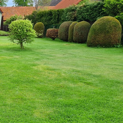 Garten- und Landschaftspflege